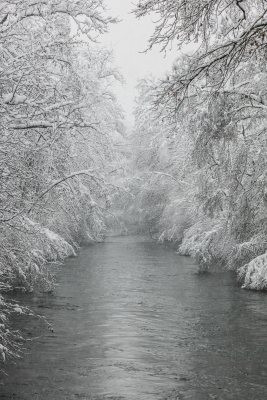 Fluss im Schnee 1